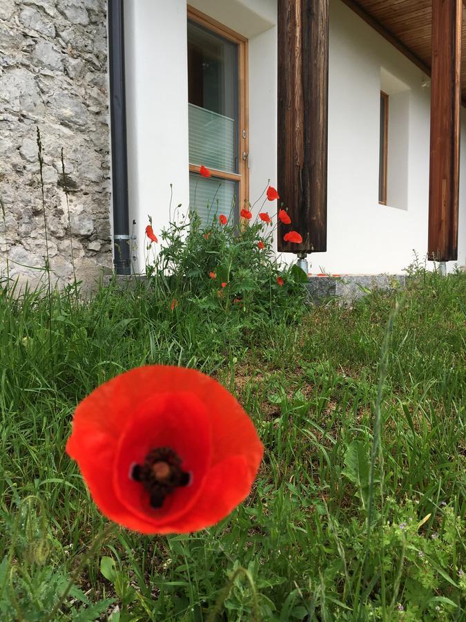 Der Weber - Haus Der Zukunft Appartement Hermagor-Pressegger See Buitenkant foto